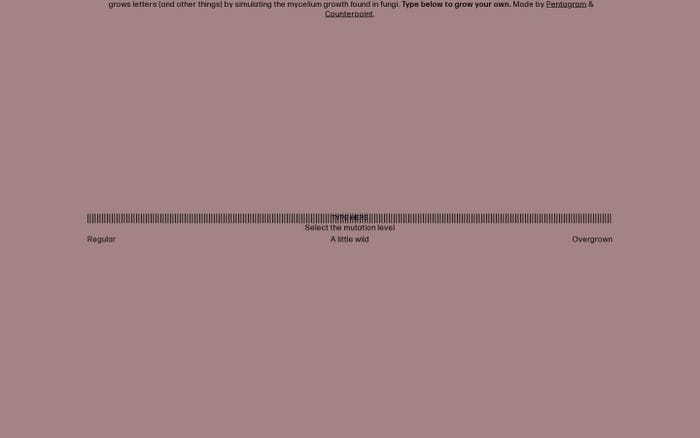 Hypha website preview