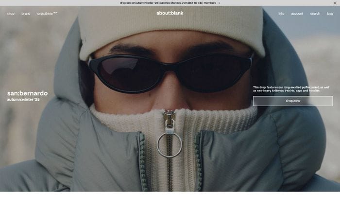 About Blank website preview