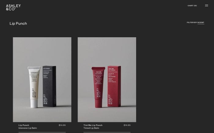 Ashley & Co website preview