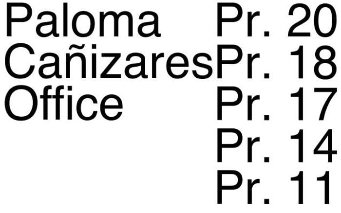 Palomacanizares website preview