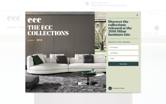 ECC website preview