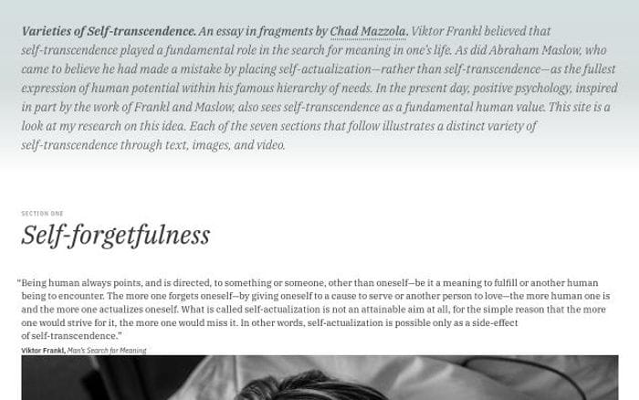 Transcendence website preview
