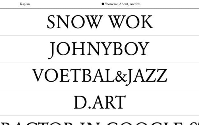 Studiokaplan website preview