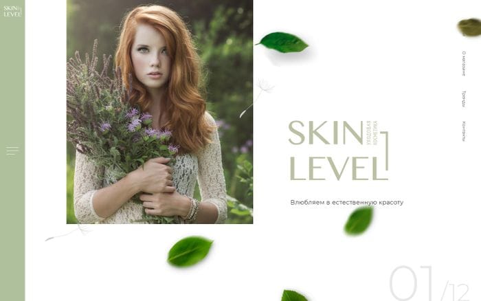 SkinLevel - care cosmetics website preview
