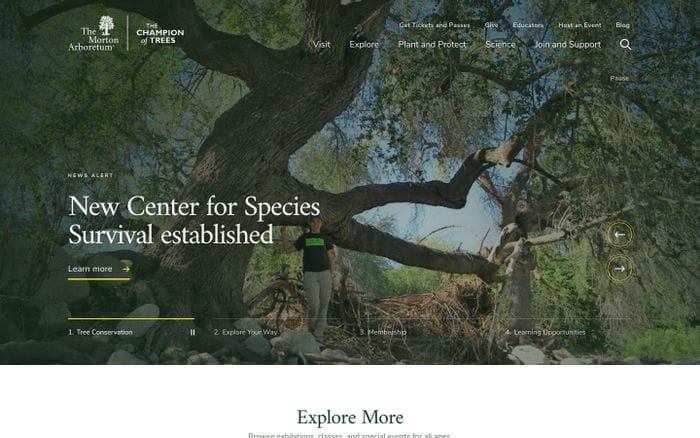 The Morton Arboretum website preview