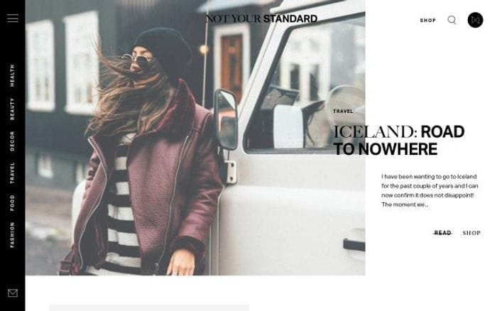 Notyourstandard website preview