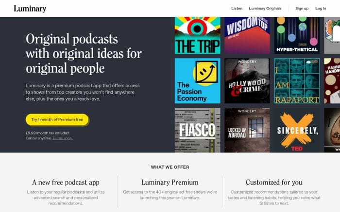 Luminary Web website preview