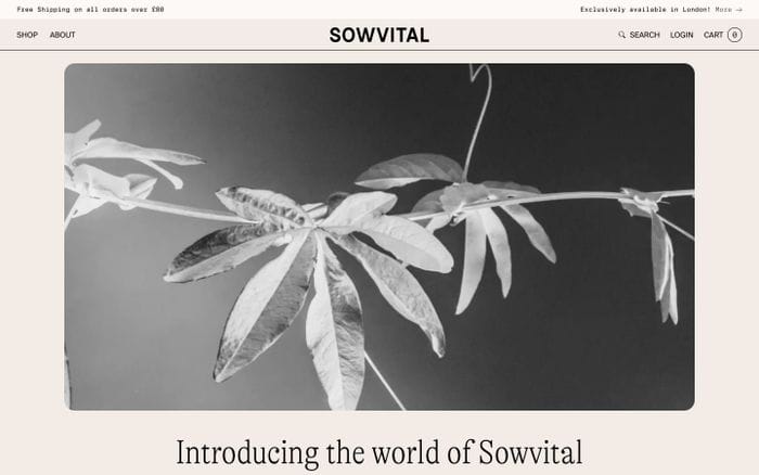Sowvital website preview