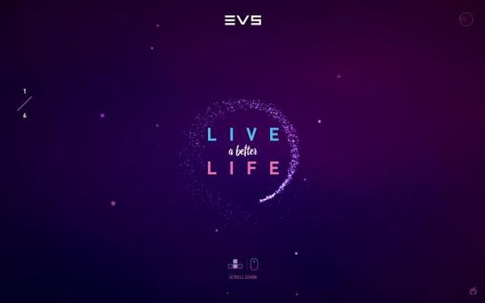 Evs website preview