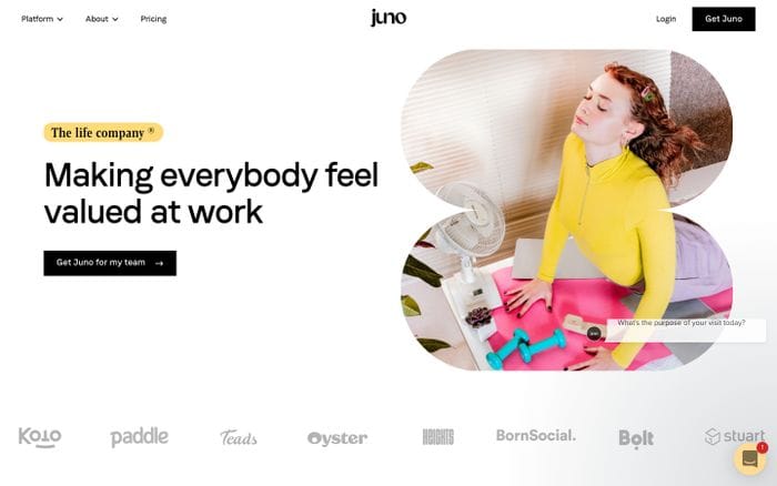 Juno website preview