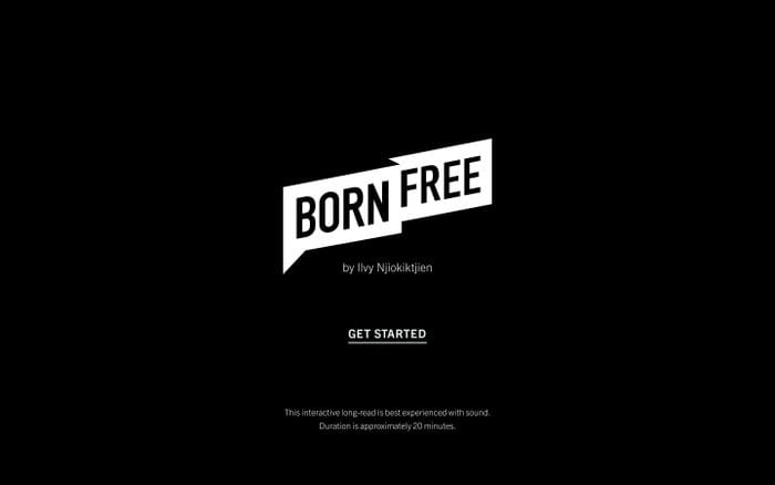 Born Free Generation – Ilvy Njiokiktjien website preview