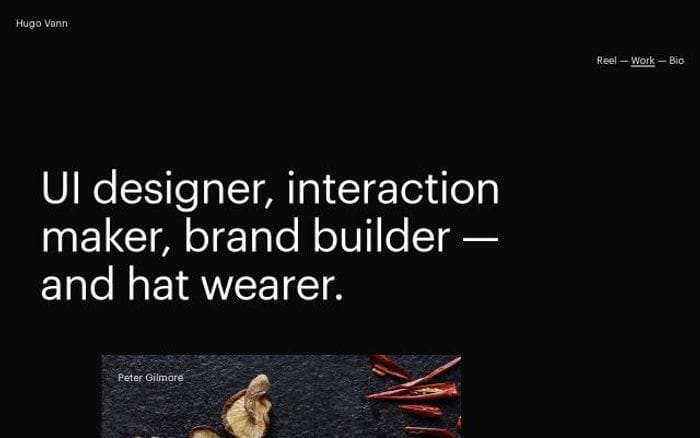 Hugovann website preview