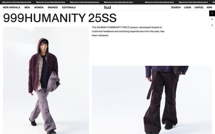 Llud website preview
