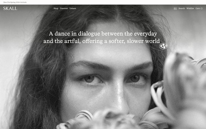 Skall Studio website preview