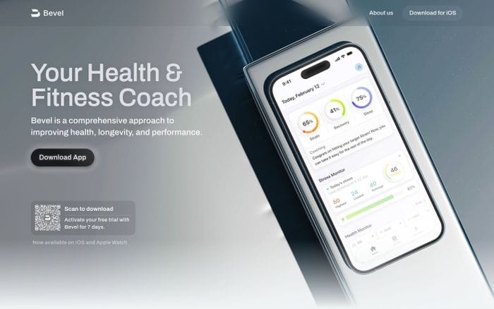 Bevel website preview