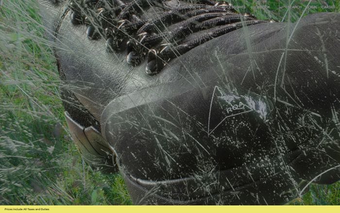 Roa website preview