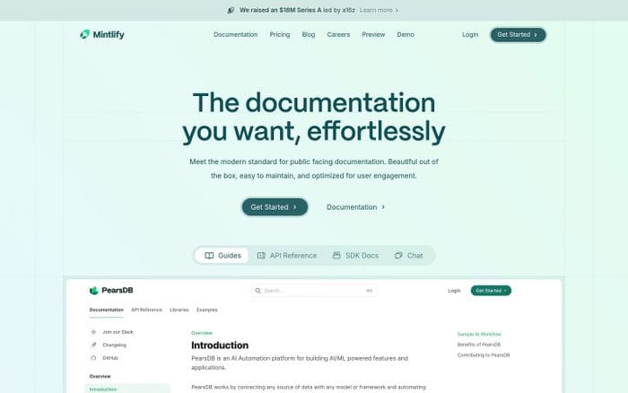 Mintlify website preview