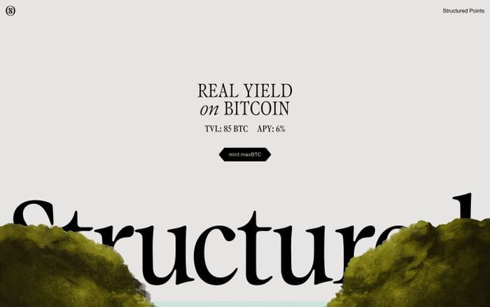 Structured website preview
