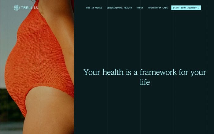 Trellis Health website preview