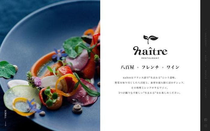 Naitre website preview