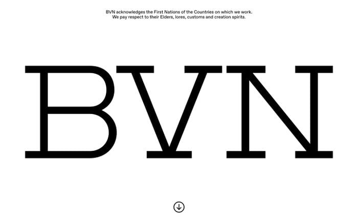 BVN website preview