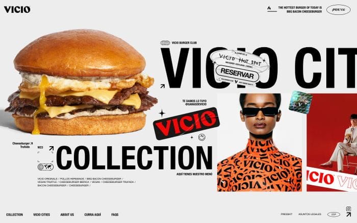 Vicio website preview