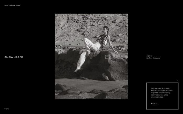 Alicia Moore website preview