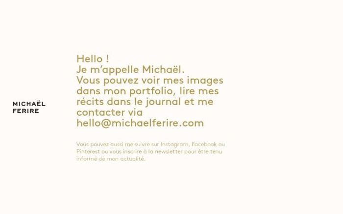 Michaelferire website preview