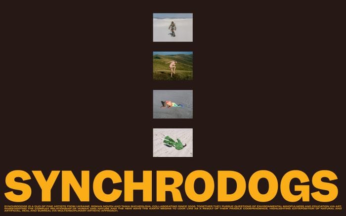 Synchrodogs website preview