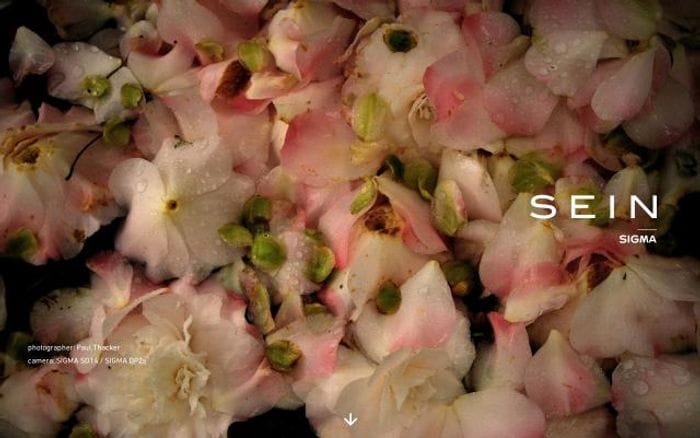 Sigma-sein website preview