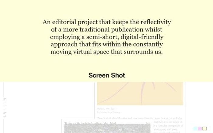 Screenshot-magazine website preview