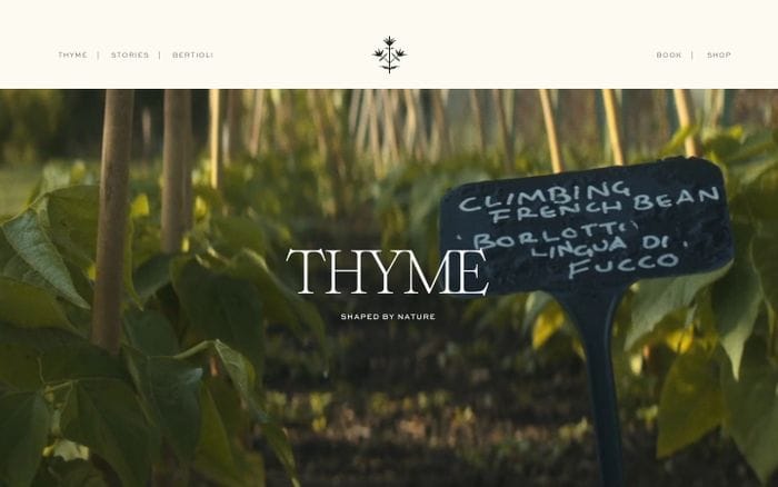 Thyme website preview