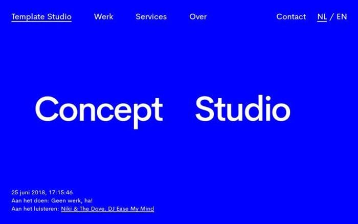 Template-studio website preview