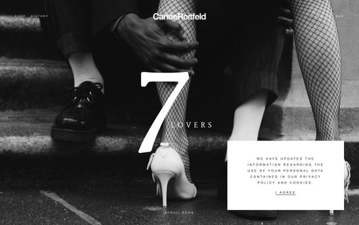 CarineRoitfeld website preview