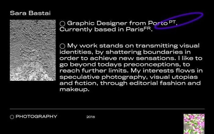 Sarabastai website preview