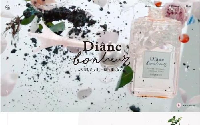 Diane-bonheur website preview