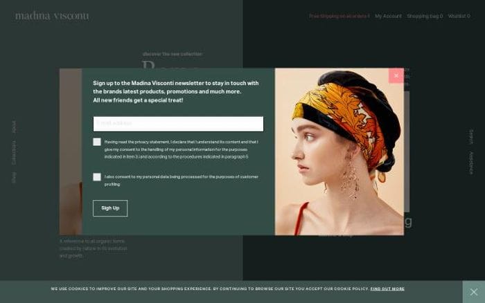 Madinavisconti website preview
