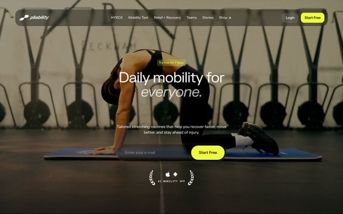 Pliability website preview