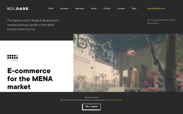 Boldare website preview