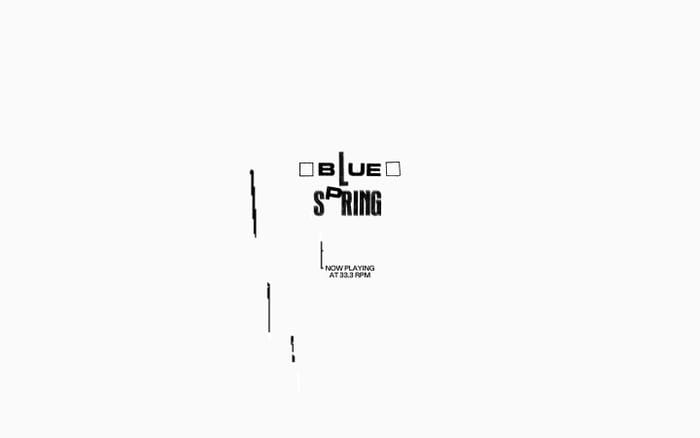 Blue Spring website preview