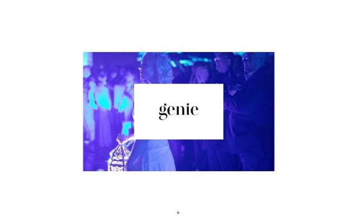 Genieagency website preview