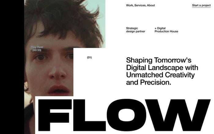 Flow website preview