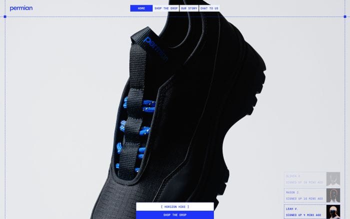 Permian website preview