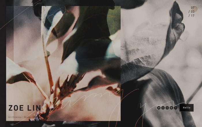 Zoe Lin website preview