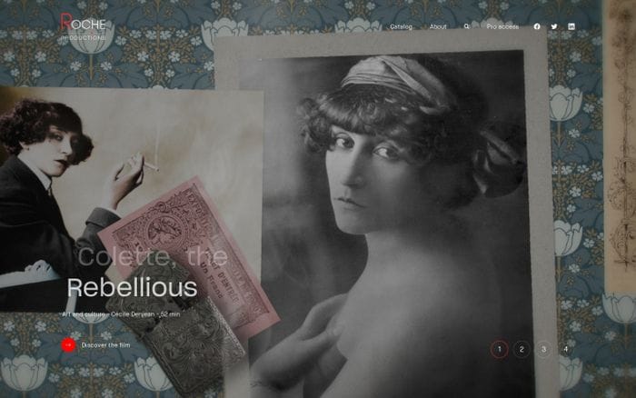 Roche Productions website preview