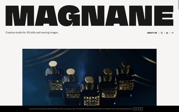 Magnane website preview