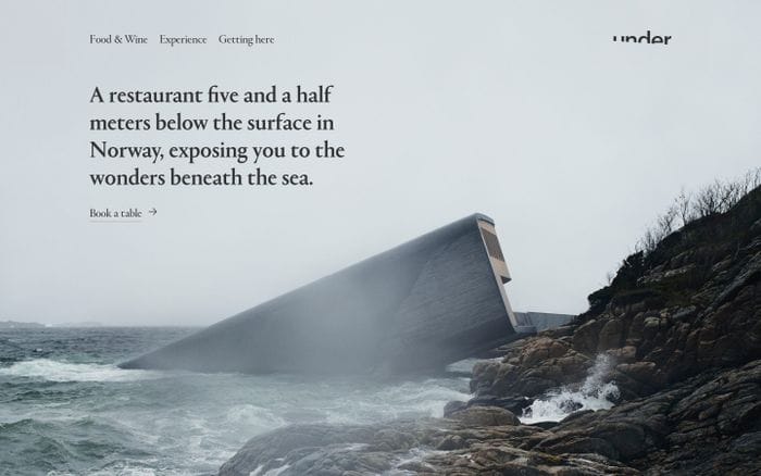 Under website preview