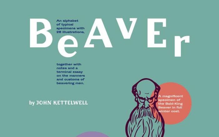 Beaver website preview