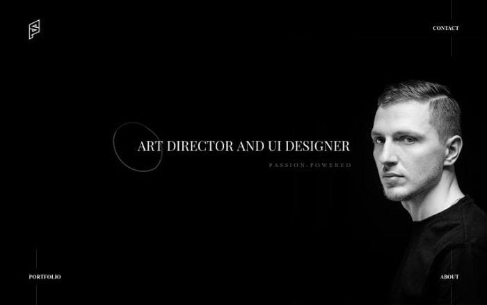 Piotrswierkowski website preview