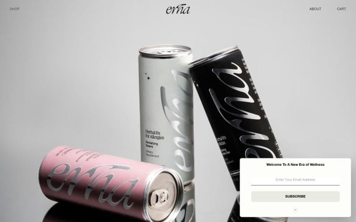 Erha website preview